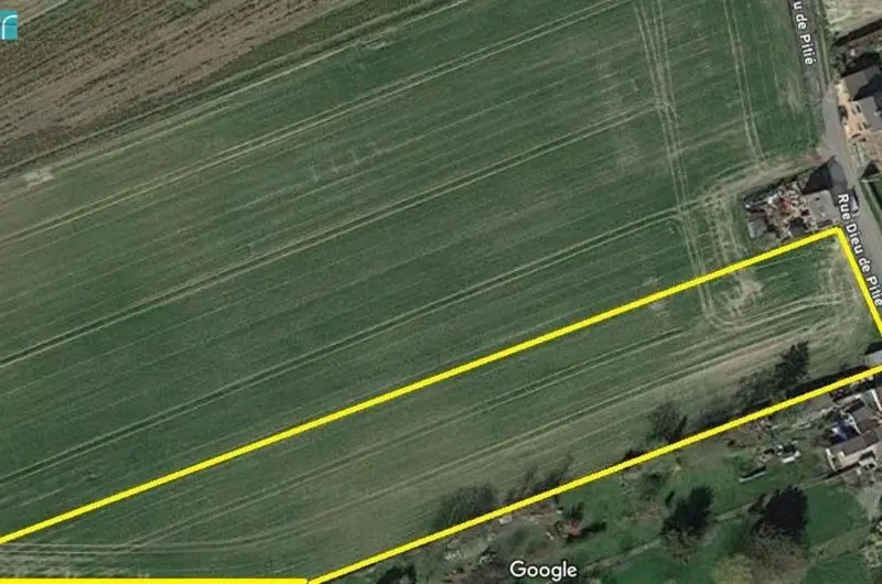 terrain agricole