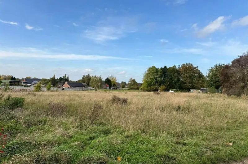 Terrain