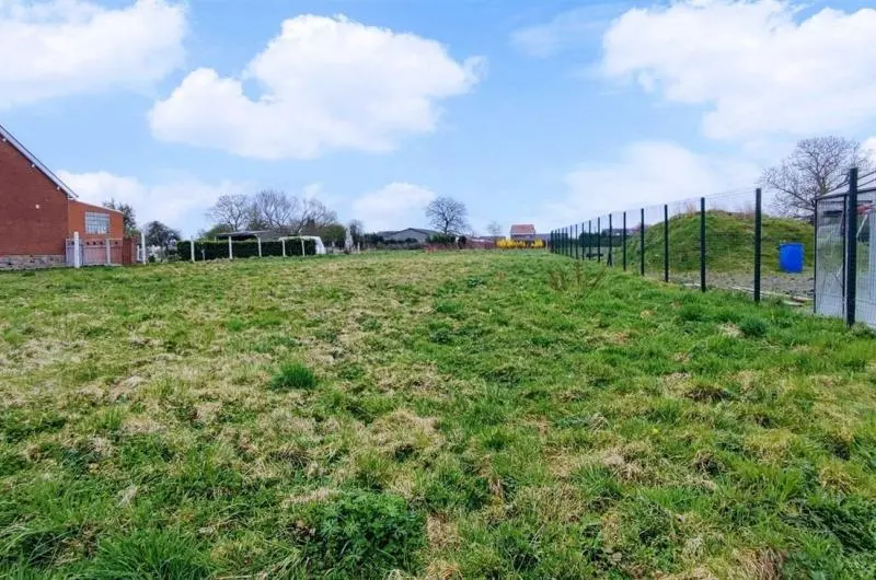 Terrain
