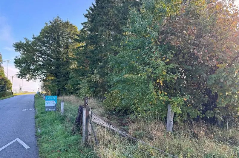 Terrain