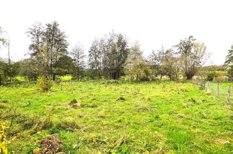 Terrain