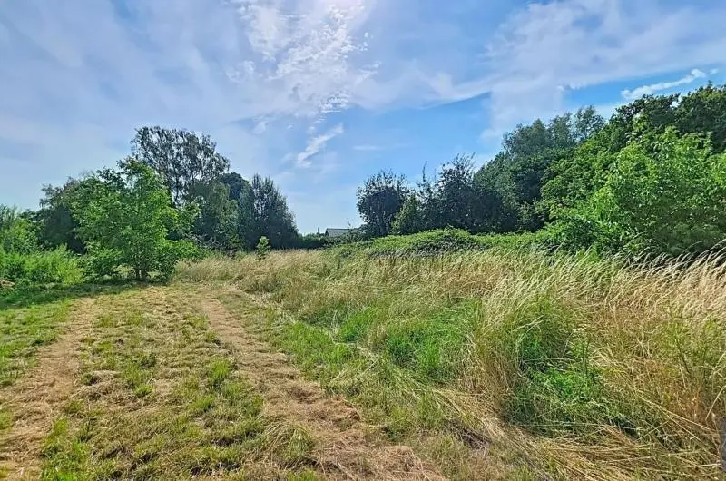 Terrain